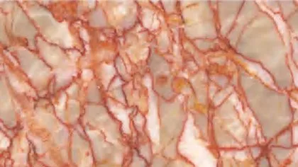 Agate Red marble: pale cream cells outlined by a tight web of coral and brick red veins
