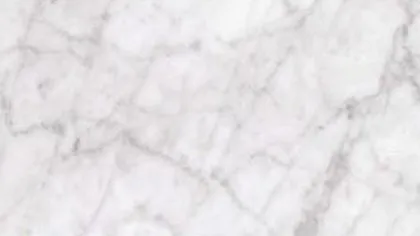 Bianco Carrara marble: feathery grey veins in a loose network on pale grey-white