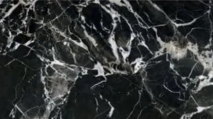 Black Tulip marble: black ground divided by heavy white veins into angular cells