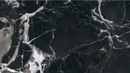 Century Black Ice marble: black ground with thin white veins looping into large cells and smoky grey patches