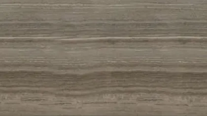 Coffee Wood marble, vein cut: parallel coffee and mushroom bands