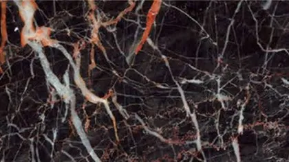 Cuckoo Red marble: black ground with pale grey-white and rust red veins over fine dark lines