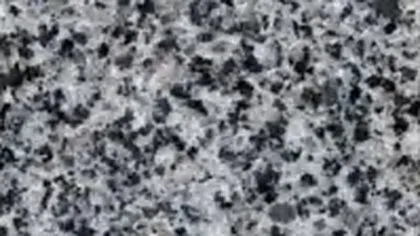 G654 granite slab: black crystal clusters in a grey ground