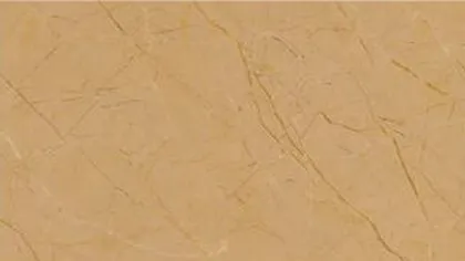 Golden Century marble: fine brown veins crossing a golden tan ground