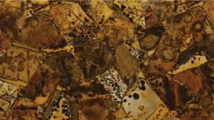 Grass Fossil panel: amber and brown fragments with dark spots set in resin