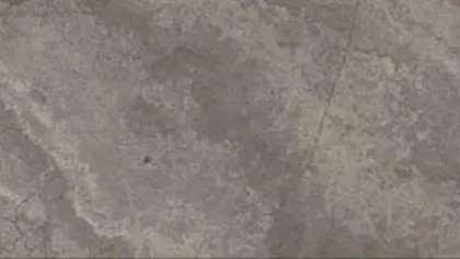 Grey Wood marble, cross cut: mottled mid-grey clouds