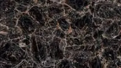 Imperial Brown granite slab: dense web of fine tan veins on deep brown