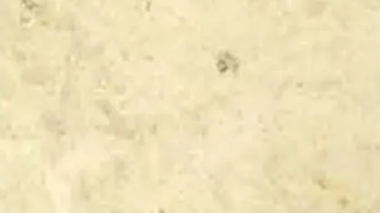 Jura Beige limestone slab: soft yellow-beige with a small fossil mark
