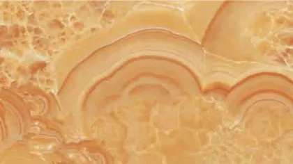 Orange Onyx slab: concentric deep orange arcs on an apricot ground