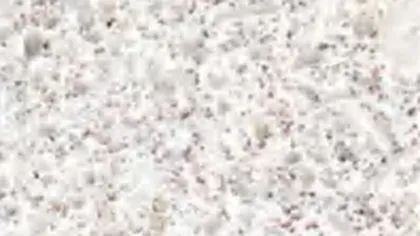 Pearl White granite slab: near-white with fine grey and rose specks