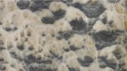 Pink Onyx slab: scalloped charcoal patches on a pale blush-cream ground