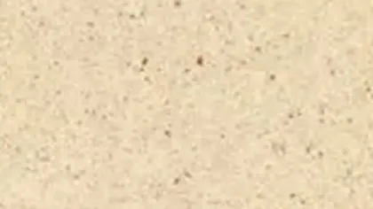 Portugal Beige limestone slab: sandy beige with tiny brown specks