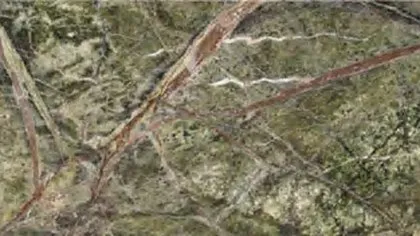 Rain Forest Green marble: moss and olive green ground crossed by branch-like brown veins