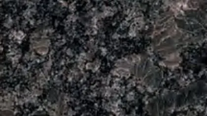 Steel Grey granite slab: deep charcoal with mottled brown-grey crystals