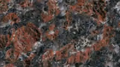 Tan Brown granite slab: rust-brown crystal patches on a near-black ground