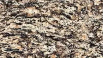 Tiger Skin Red granite slab: pinkish tan with wavy dark brown streaks