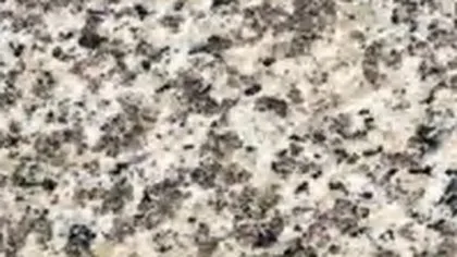 Tiger Skin White granite slab: dense charcoal and brown flecks on cream