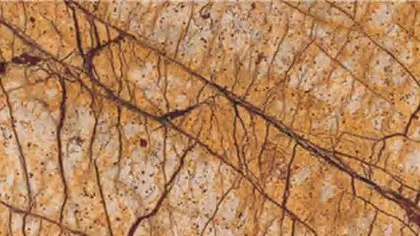Tropical Rain Forest marble: ochre gold ground with a fine tracery of chocolate brown veins and dark specks