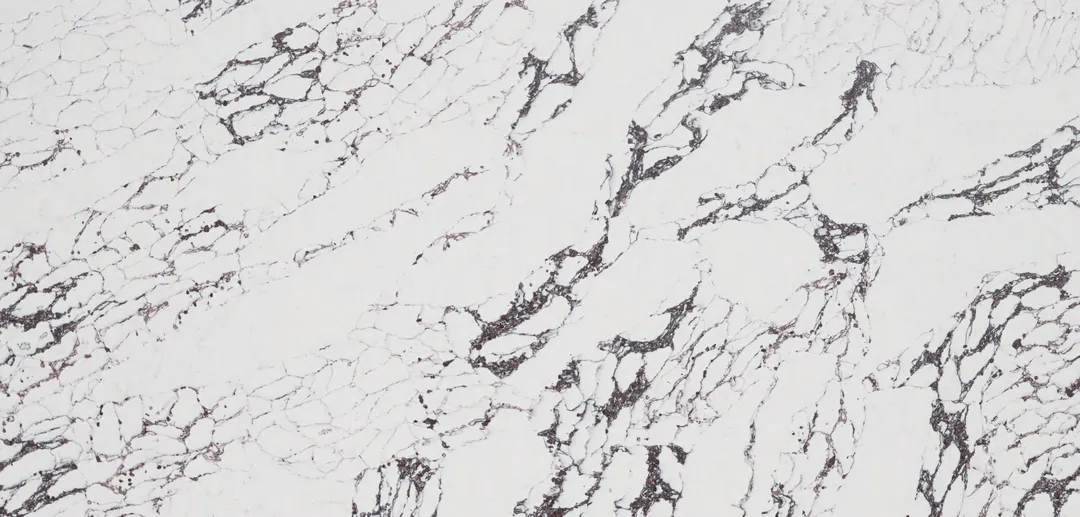 Arabescato Viola quartz slab: lacy plum and black veins moving diagonally across white