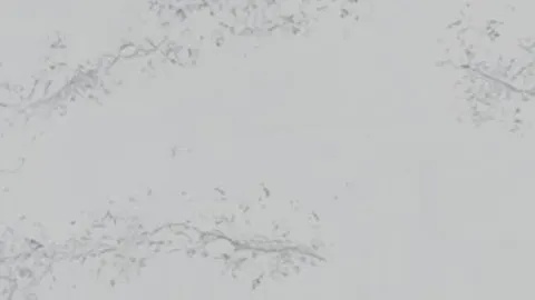 Calacatta Argento quartz slab: feathery drifts of darker grey flecks on pale silver-grey