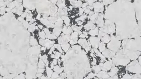 Dalmata quartz slab: pale breccia fragments set in dark charcoal seams