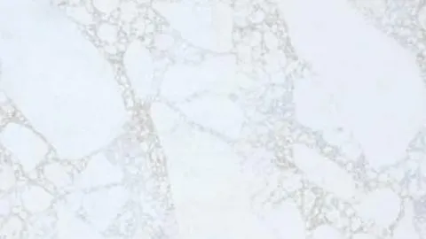 Luce d’Oro quartz slab: lacy gold-beige vein network on cool white