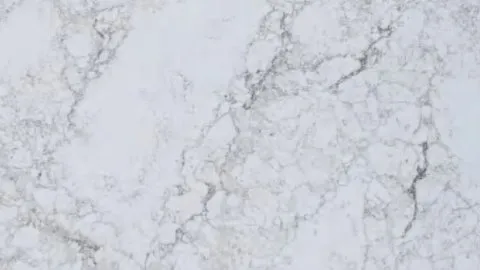 Neve Venata quartz slab: pale grey lattice with darker charcoal strands on white