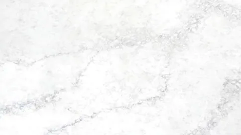 Statuario Nuvolato quartz slab: frosty mottled white with faint branching grey veins