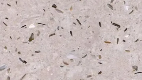Avena terrazzo: oat-coloured ground with dark slender slivers and pearly flakes