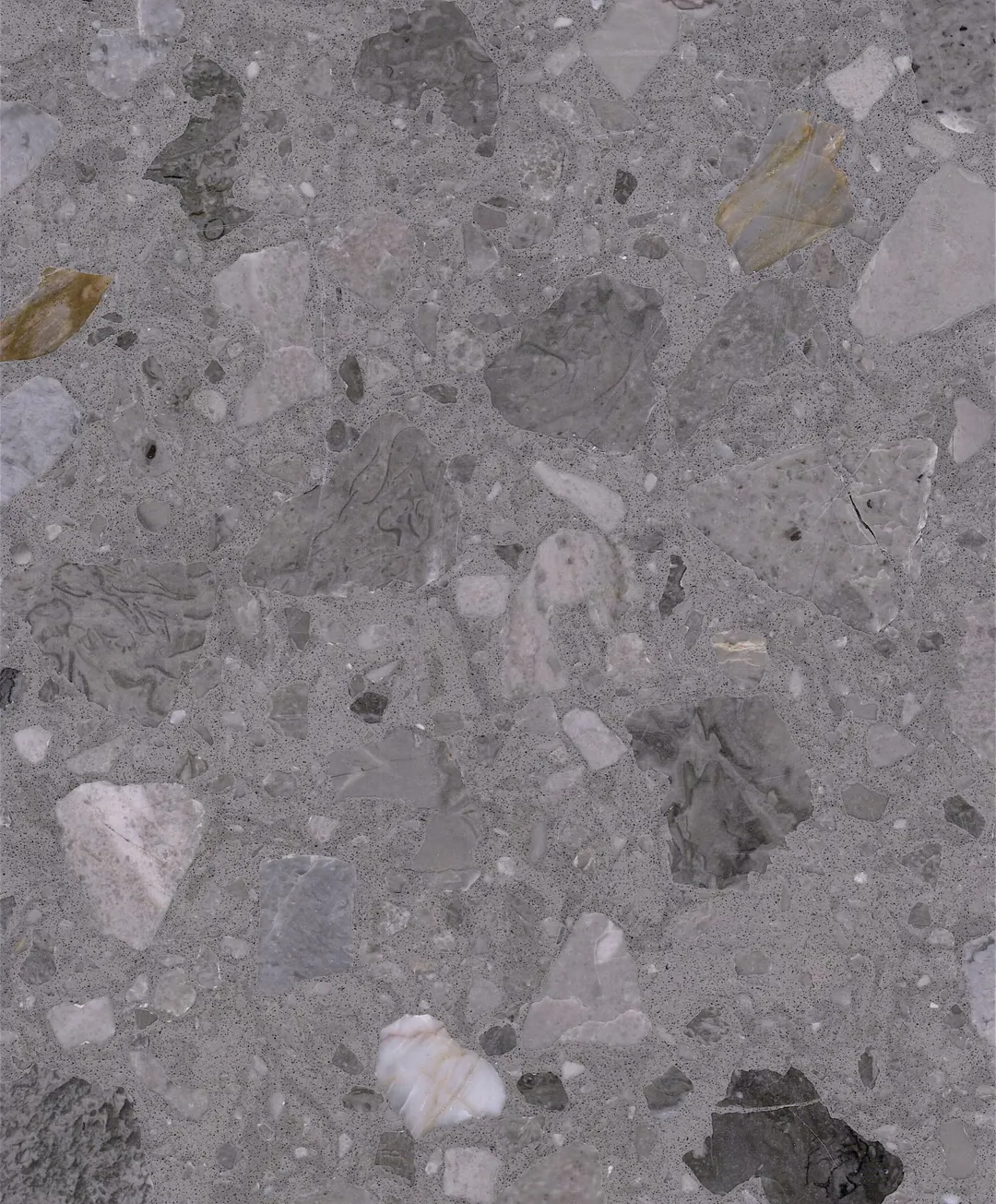 Castello terrazzo slab: large tonal grey stones in a grey matrix