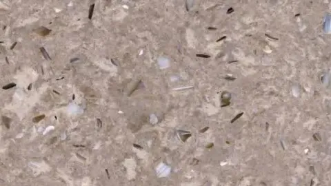 Corteccia terrazzo: mottled taupe and beige ground with dark slivers and blue-grey pearly flakes