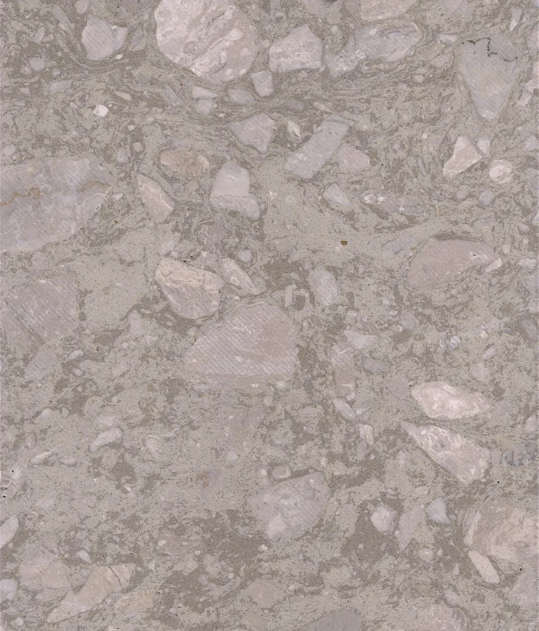 Giudecca terrazzo slab: large pale stones in a warm grey matrix
