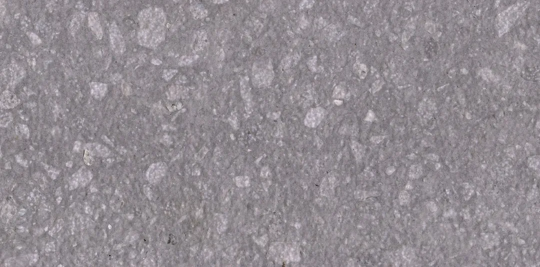Lido terrazzo slab: mid-size white chips in a soft grey matrix