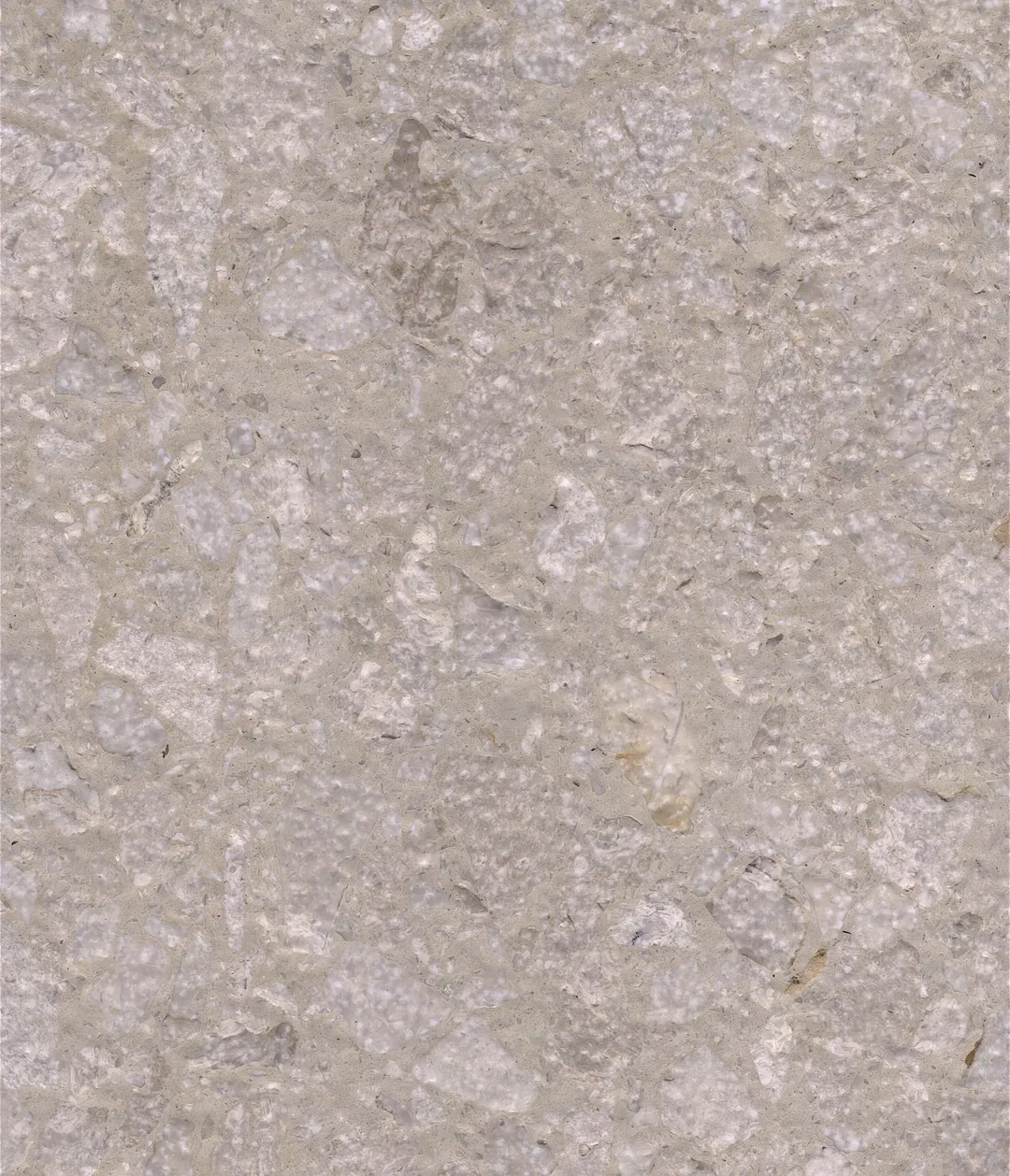 Zattere terrazzo slab: close-packed sandy beige chips